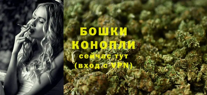 Конопля Bruce Banner  Валуйки 